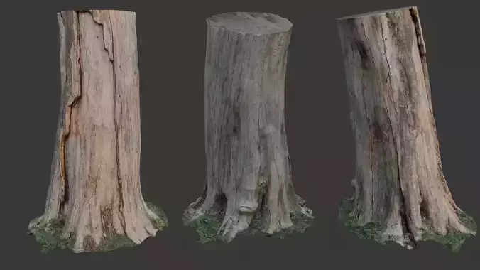 Realistic Dead Tree Trunk 3D Scan