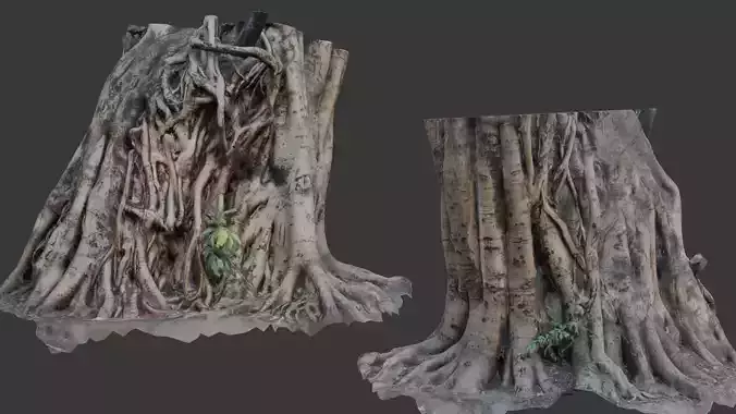 Ancient Banyan Tree Trunk 3D Scan