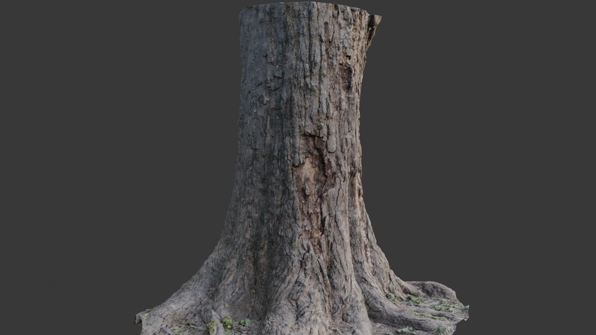 Tree Stump 3D Scan  Low-poly 3D model_4