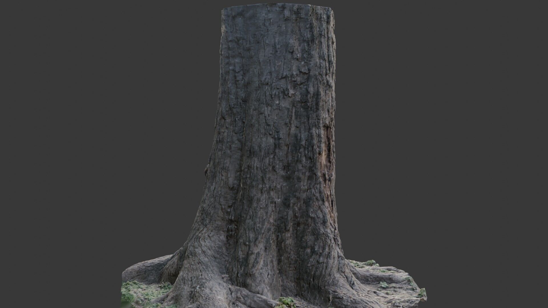 Tree Stump 3D Scan  Low-poly 3D model_5