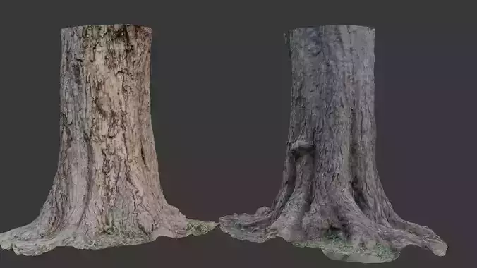 Tree Stump 3D Scan  Low-poly 3D model