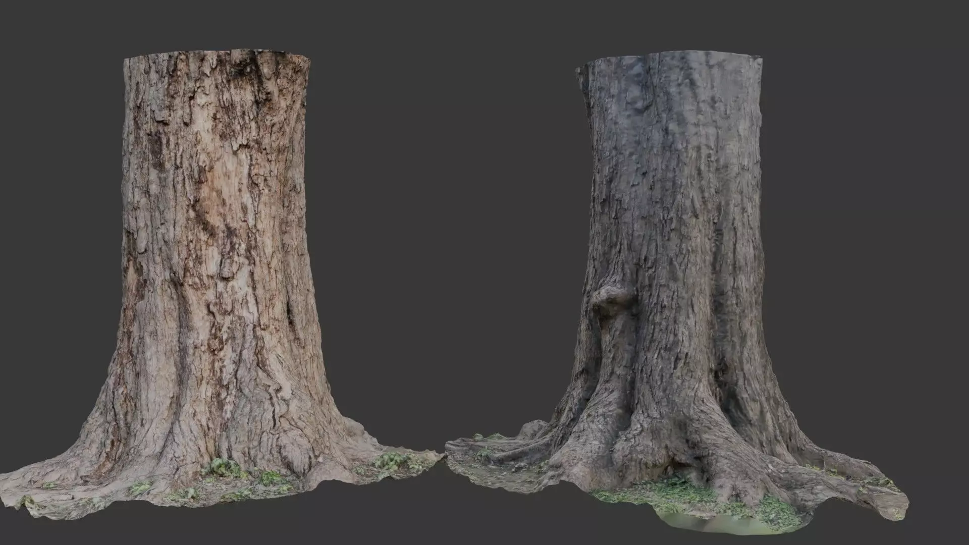 Tree Stump 3D Scan  Low-poly 3D model_0