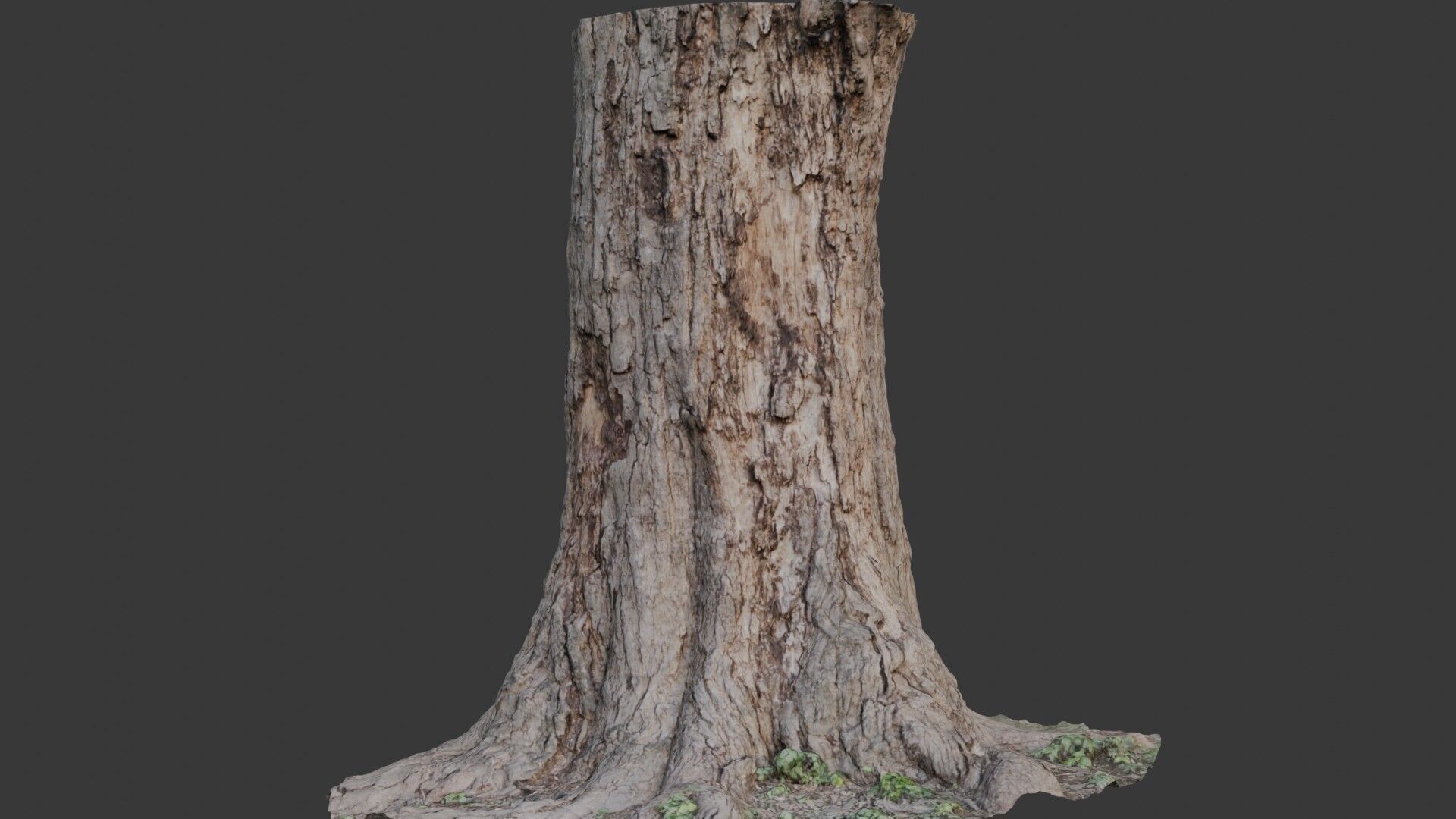 Tree Stump 3D Scan  Low-poly 3D model_1
