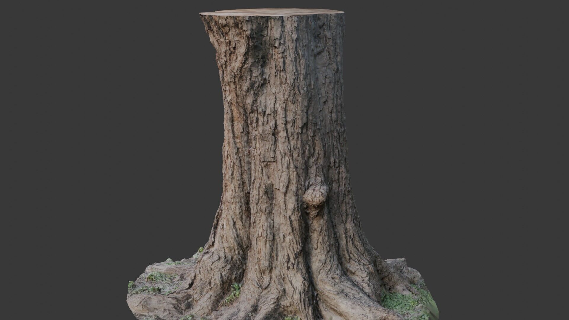 Tree Stump 3D Scan  Low-poly 3D model_7