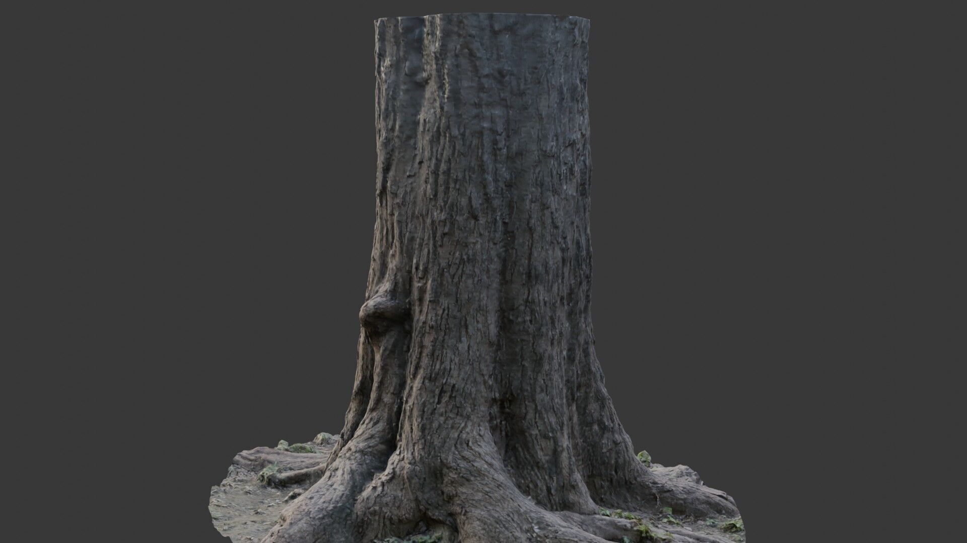 Tree Stump 3D Scan  Low-poly 3D model_6