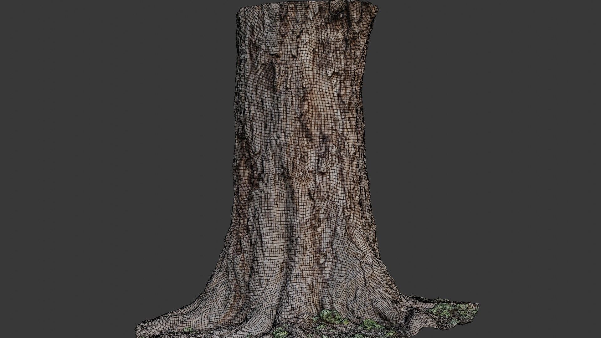 Tree Stump 3D Scan  Low-poly 3D model_2