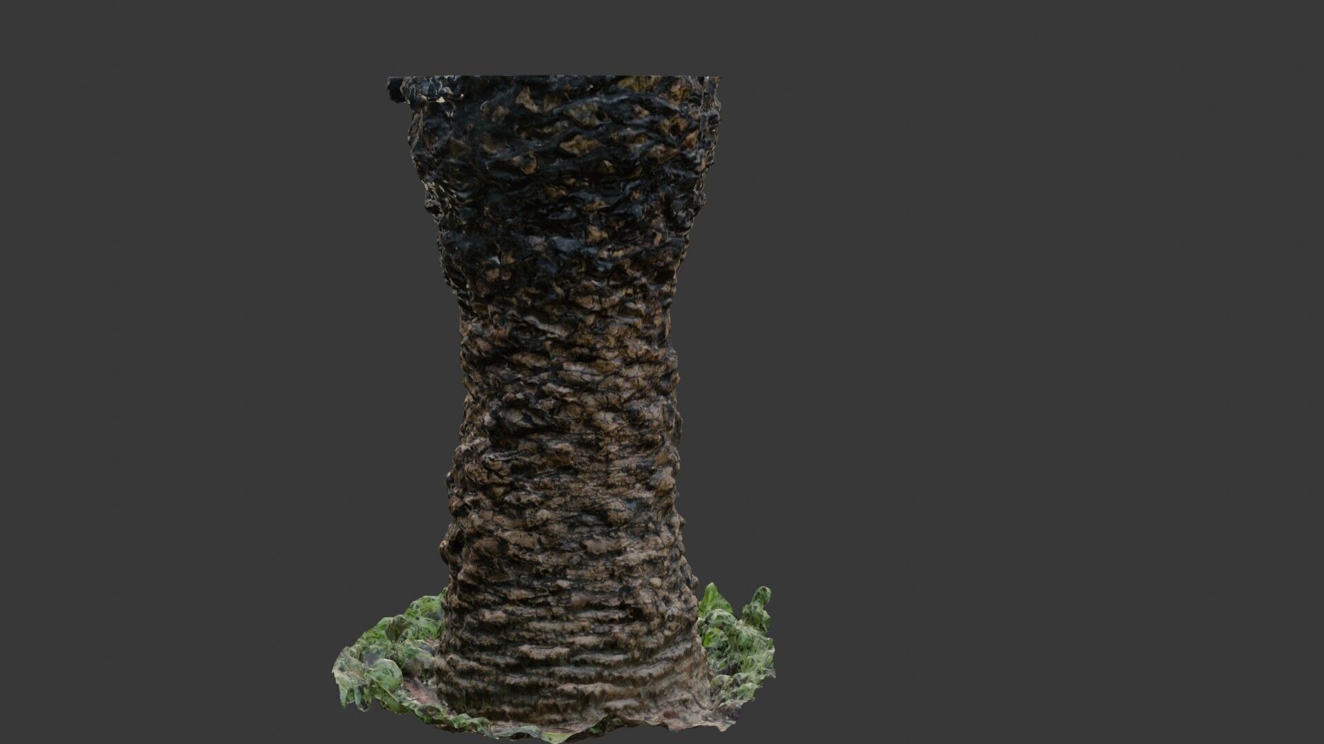 Palm Tree Trunk 3D Scan Low-poly 3D model_6