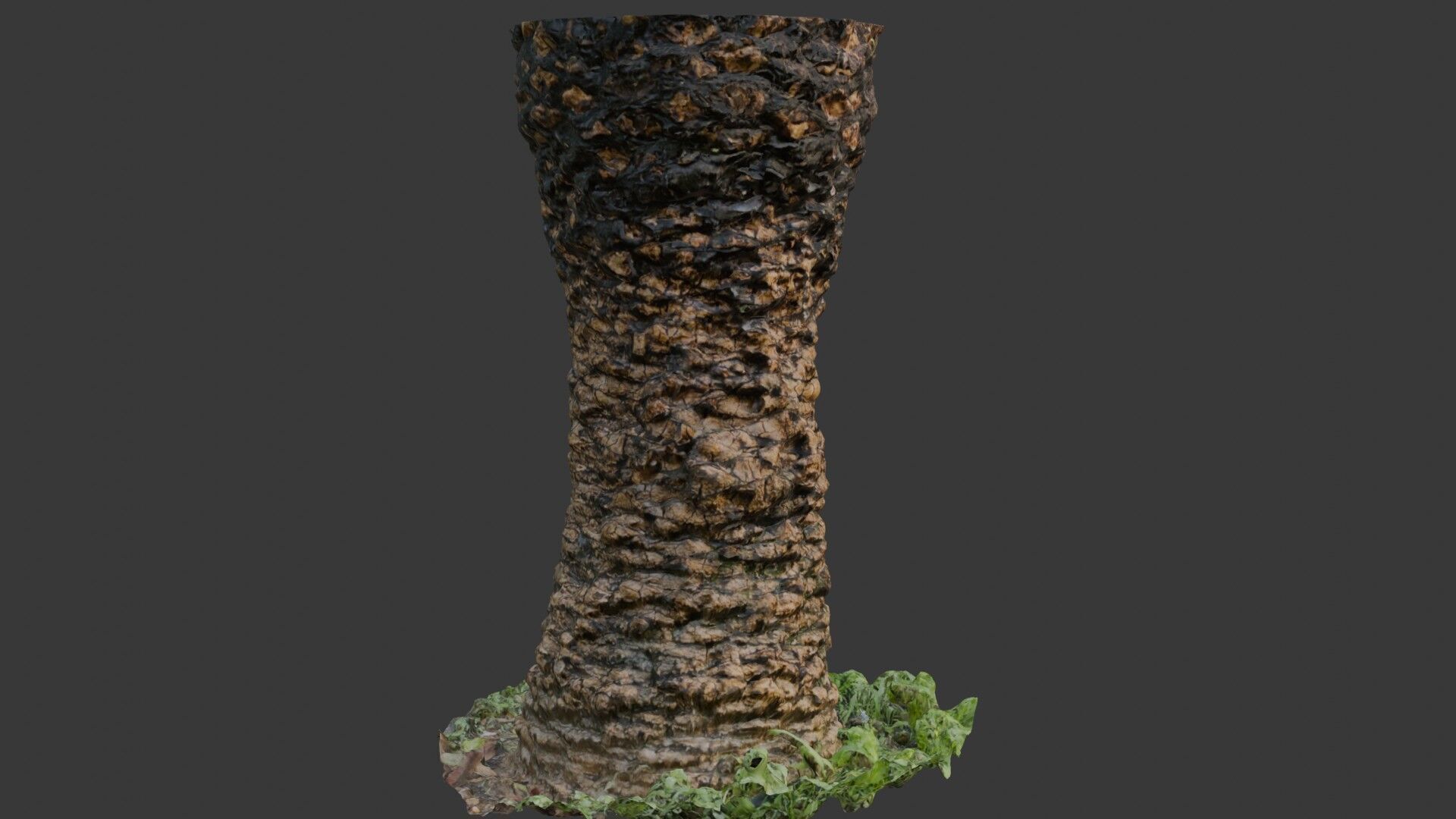 Palm Tree Trunk 3D Scan Low-poly 3D model_4