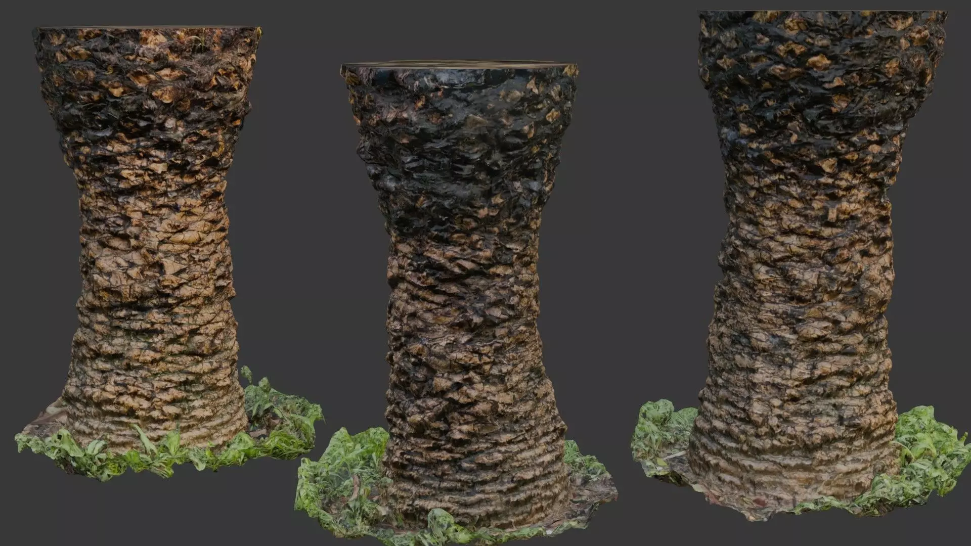 Palm Tree Trunk 3D Scan Low-poly 3D model_0