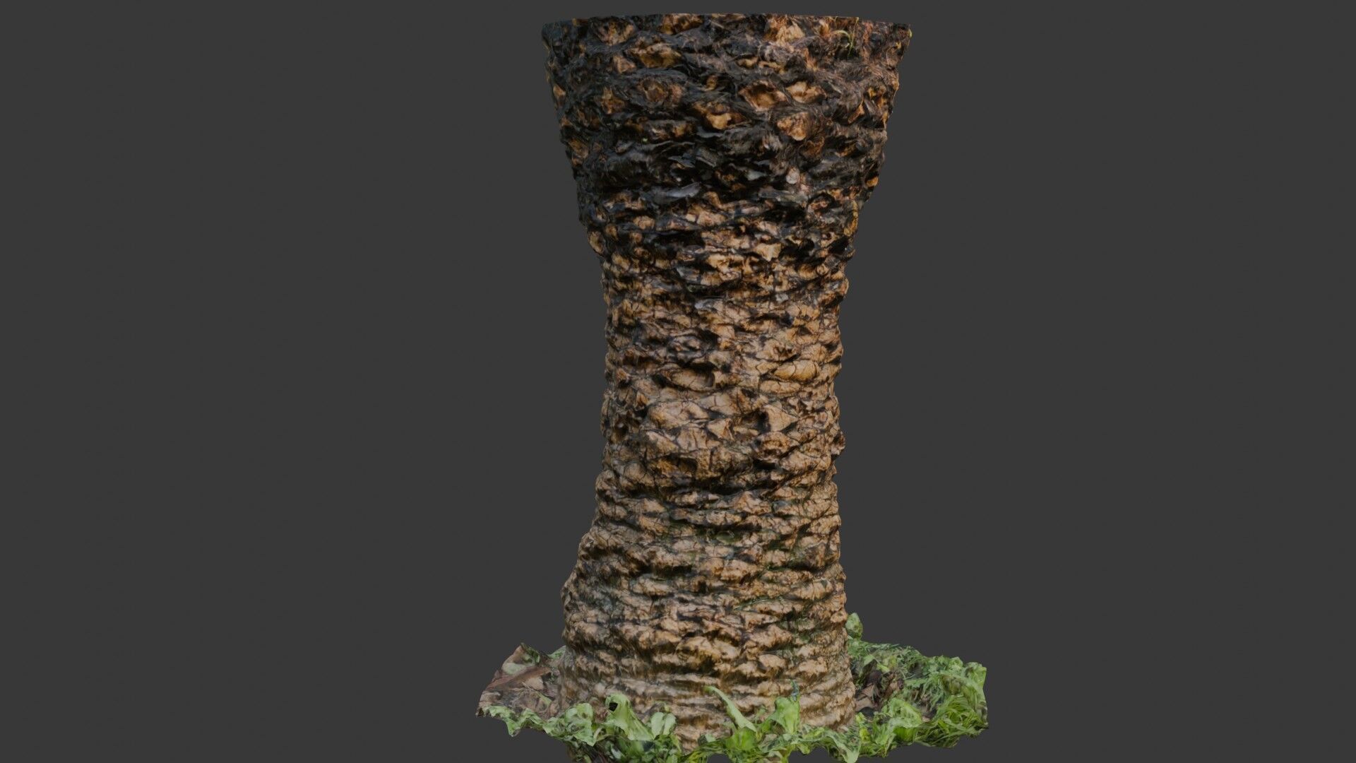 Palm Tree Trunk 3D Scan Low-poly 3D model_1