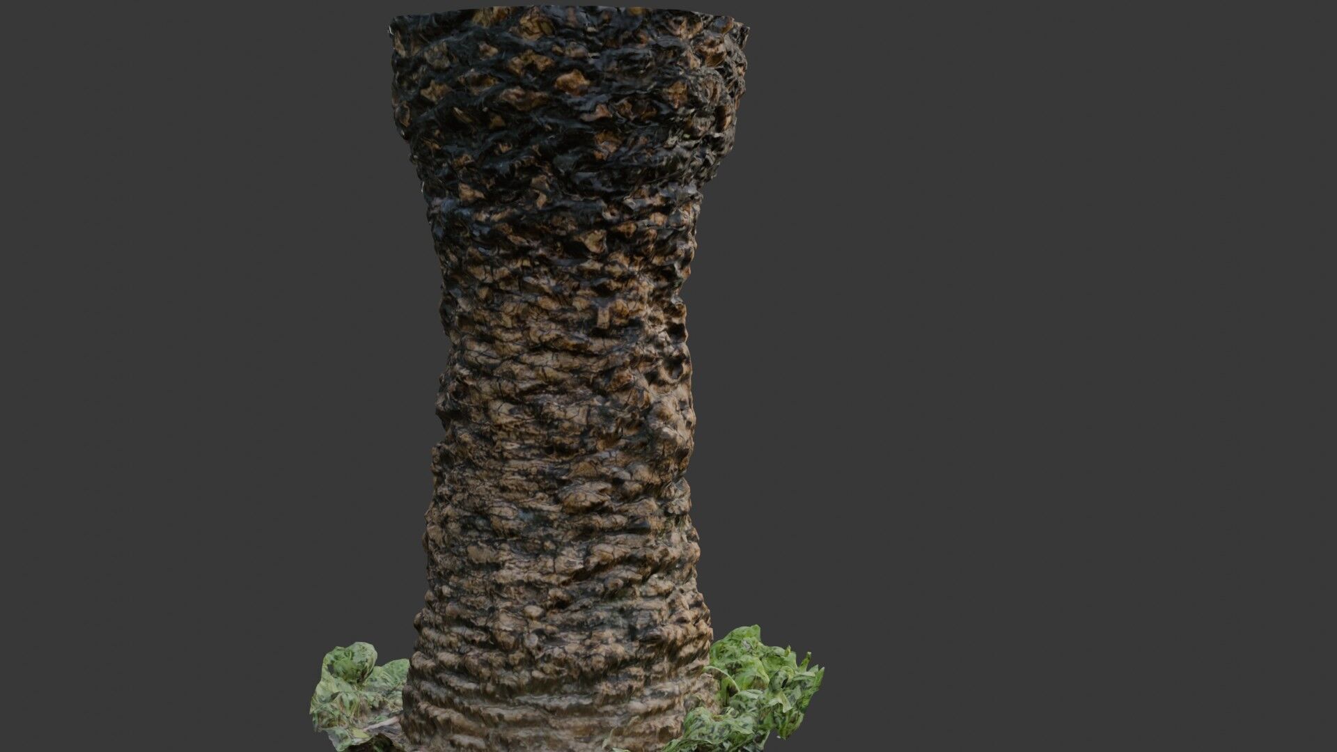 Palm Tree Trunk 3D Scan Low-poly 3D model_5