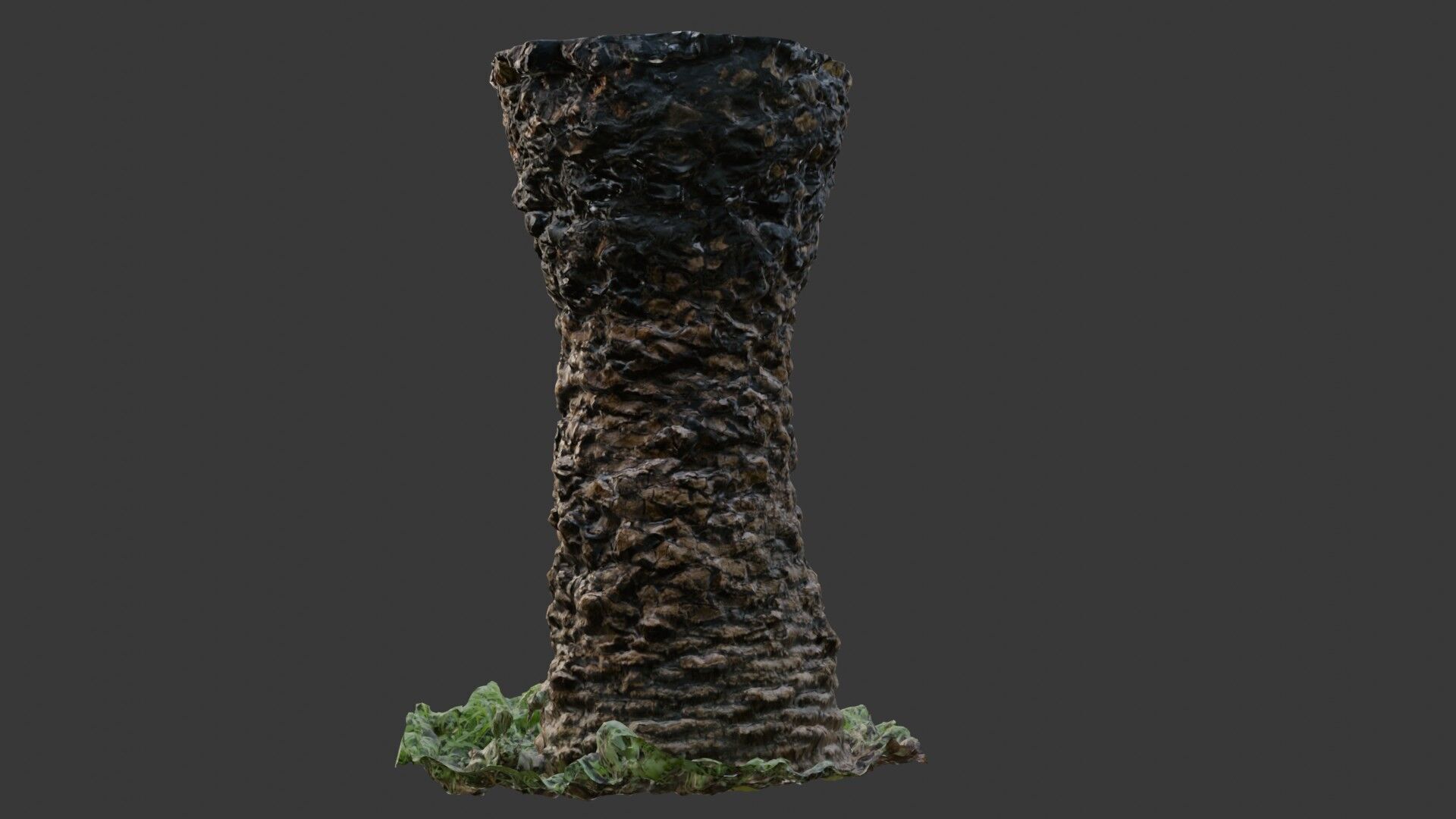 Palm Tree Trunk 3D Scan Low-poly 3D model_7