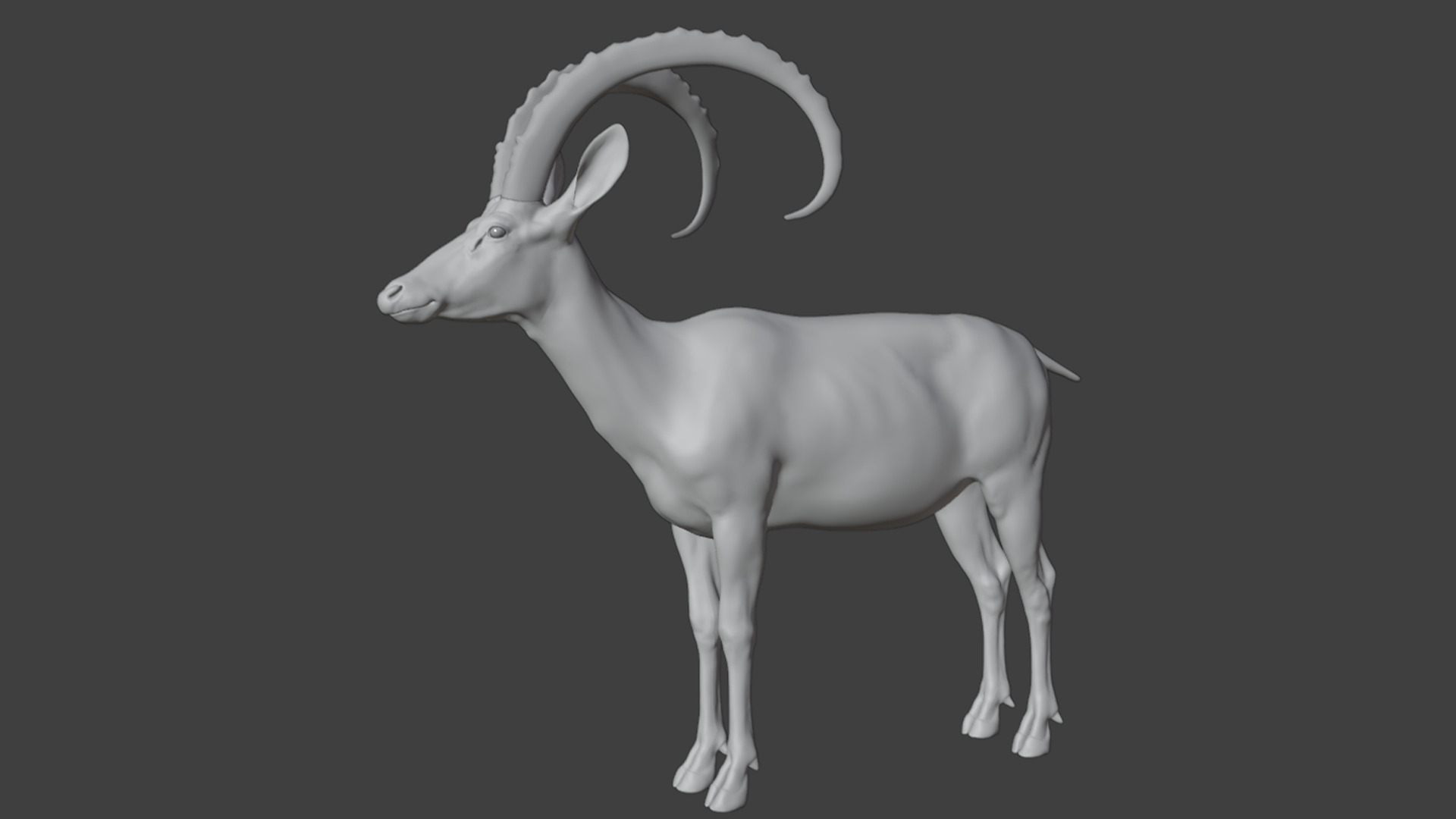 Nubian Ibex - Goat Animated 3D model_9