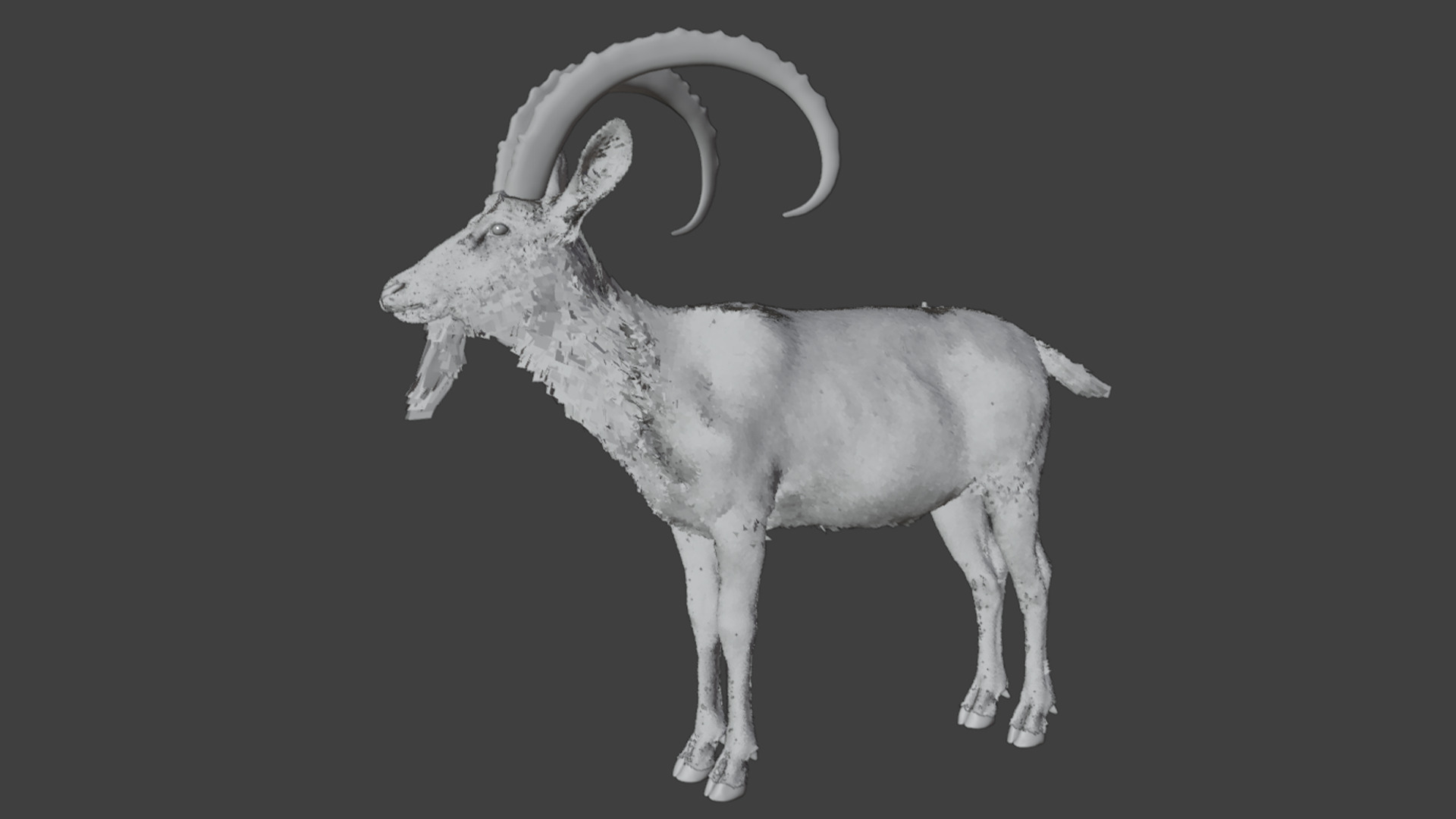 Nubian Ibex - Goat Animated 3D model_11