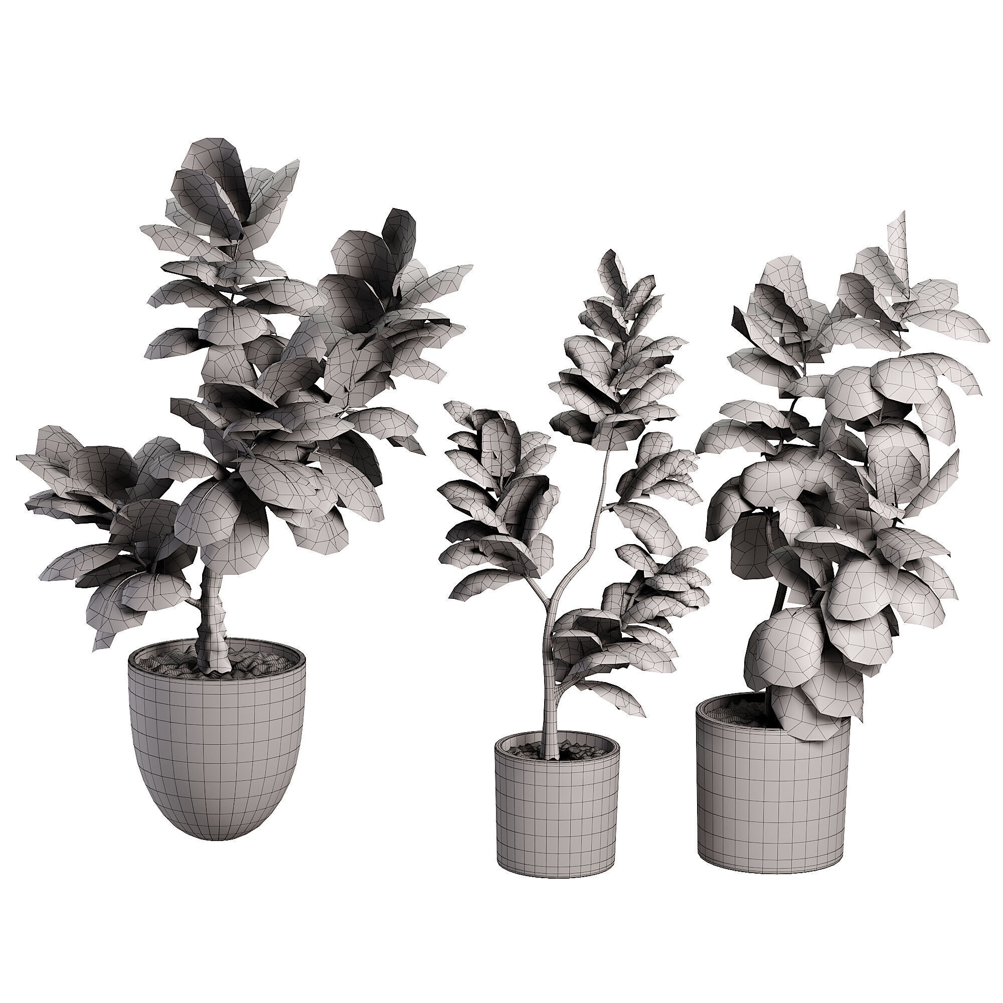 Indoor plent 11 Low-poly 3D model_5