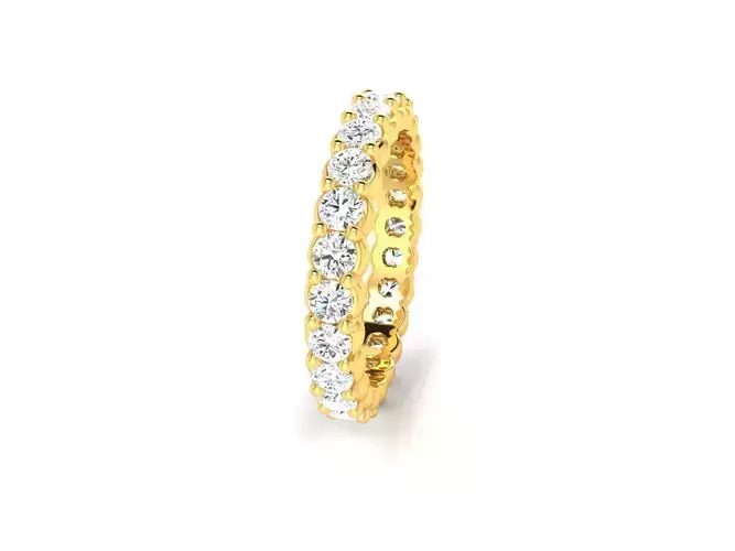 Women Ring  Render 3dm STL OBJ FBX Details