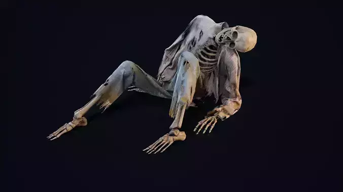 Skeleton Remains 5 Low-poly 3D model
