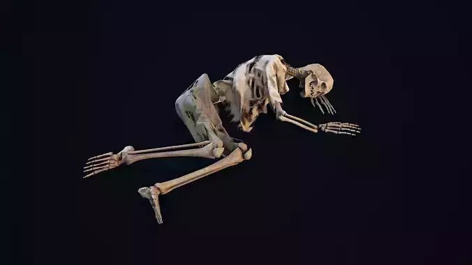 Skeleton Remains 6 Low-poly 3D model