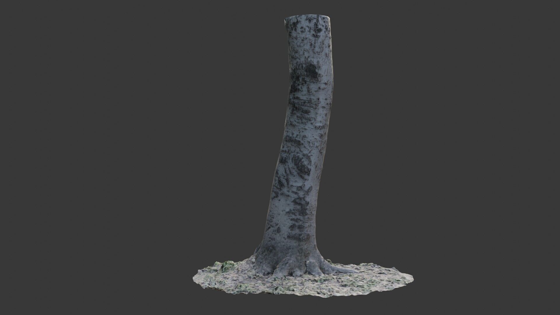 Birch Tree Trunk 3D Scan Low-poly 3D model_6