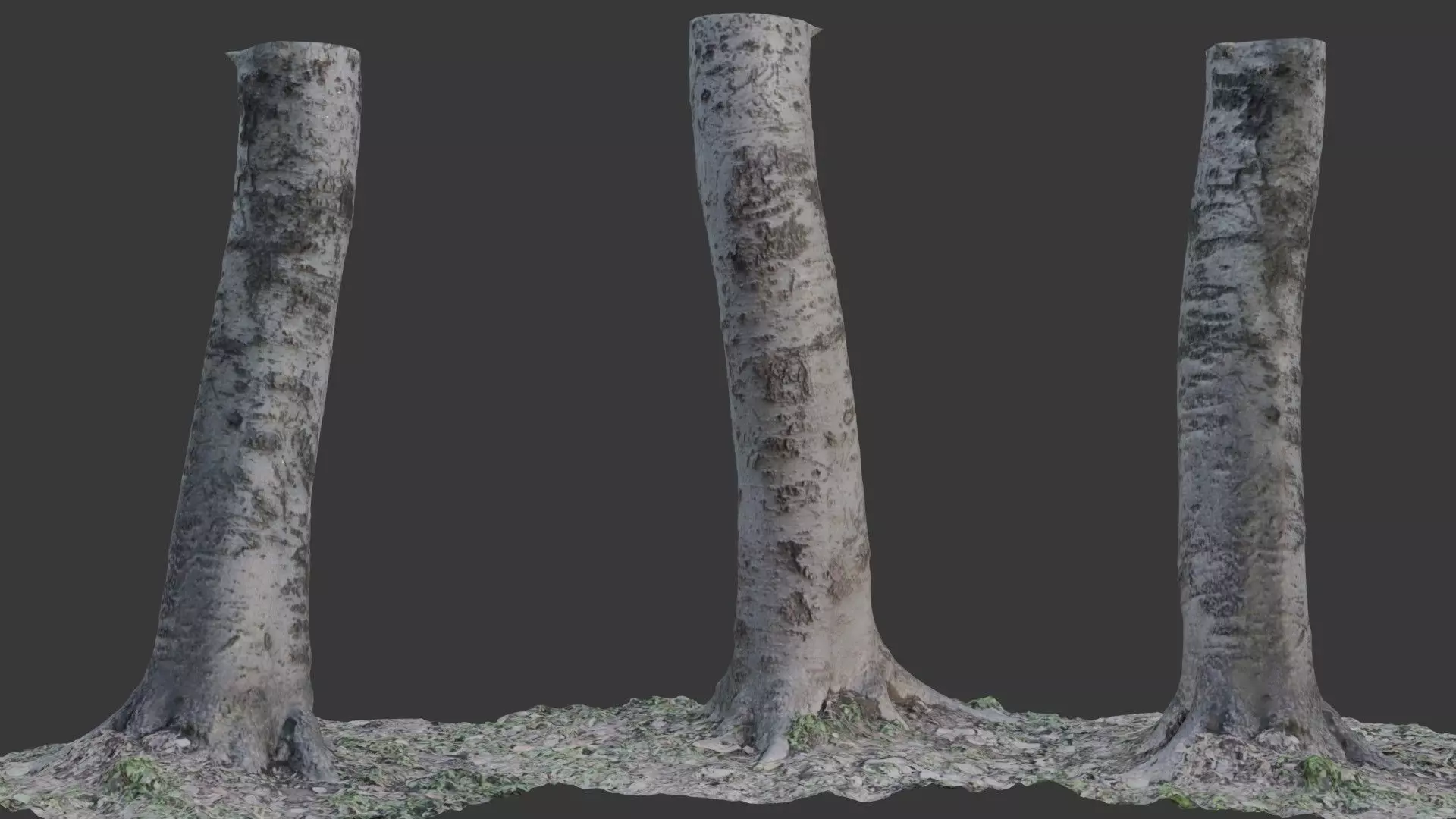 Birch Tree Trunk 3D Scan Low-poly 3D model_0