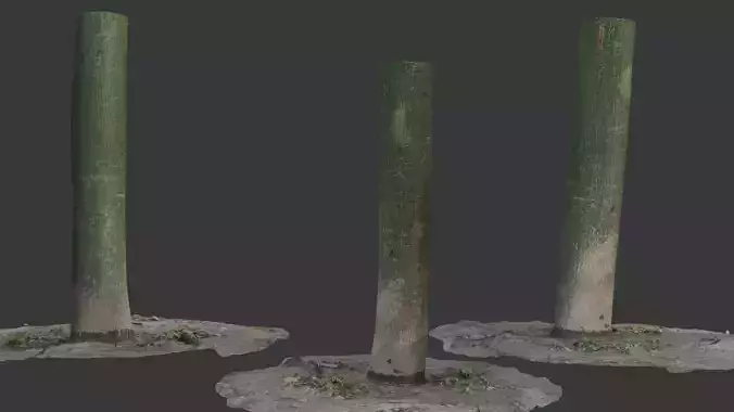 Green Tree Trunk 3D Scan