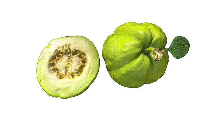 Green Guava Low-poly 3D model 3