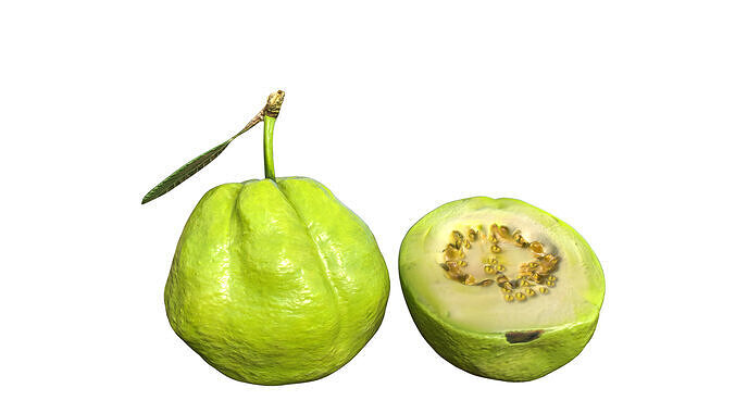 Green Guava Low-poly 3D model 6