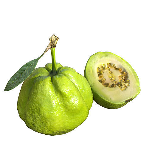 Green Guava Low-poly 3D model 7