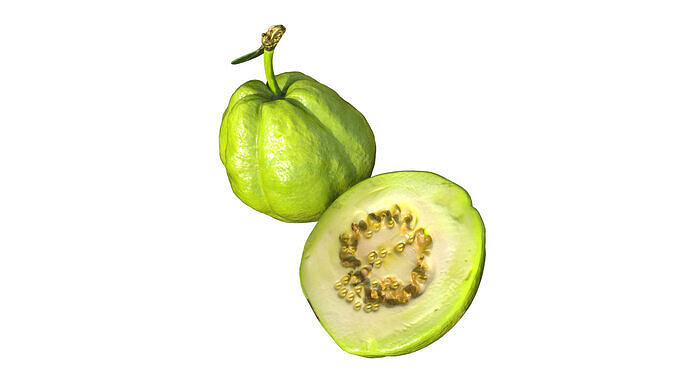 Green Guava Low-poly 3D model 4
