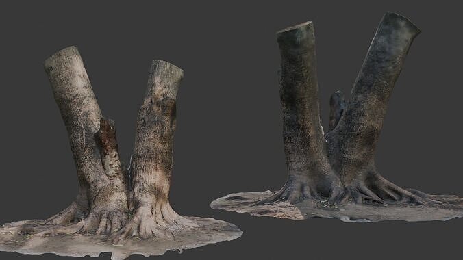 V-Shaped Tree Trunk 3D Scan Low-poly 3D model