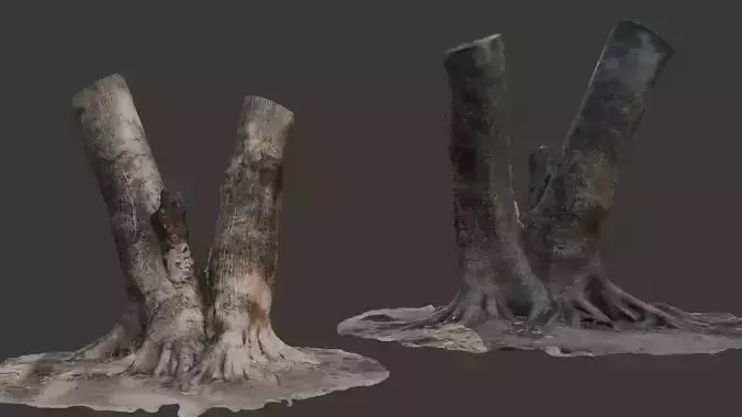V-Shaped Tree Trunk 3D Scan