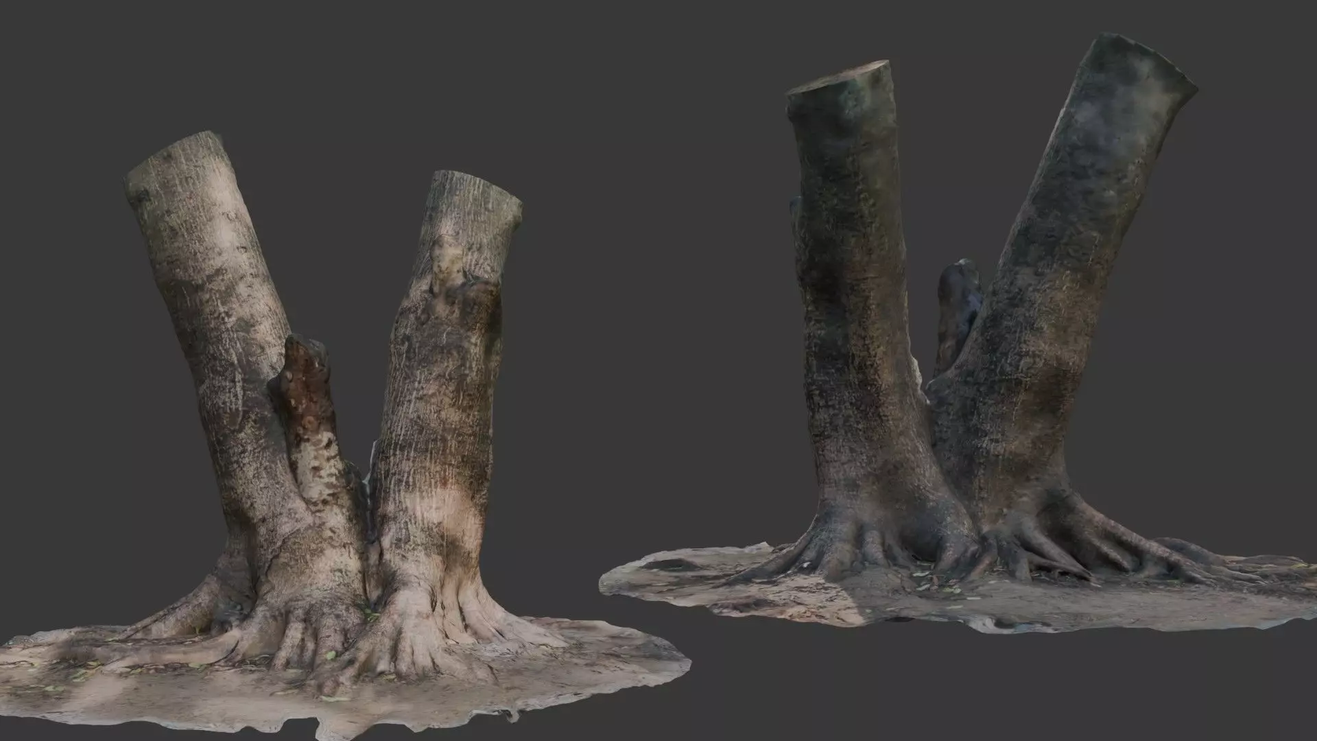 V-Shaped Tree Trunk 3D Scan Low-poly 3D model_0