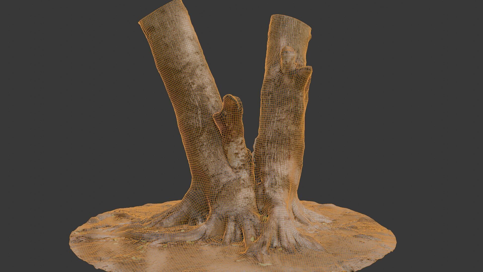 V-Shaped Tree Trunk 3D Scan Low-poly 3D model_2