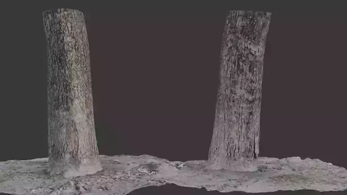 Realistic 3D Scanned Tree Trunk 