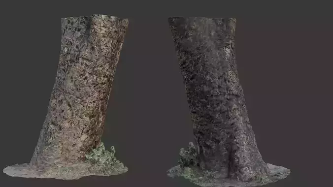 Realistic 3D Scanned Tree Trunk with Moss 
