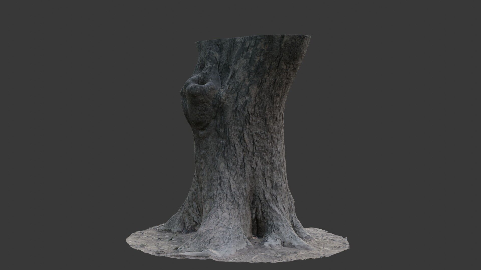Realistic 3D Scanned Wide Tree Trunk Low-poly 3D model_5