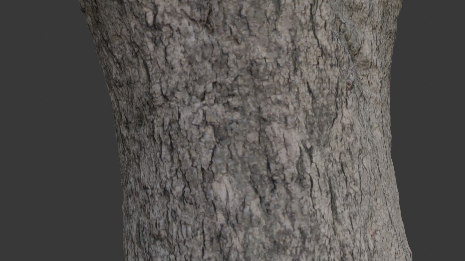 Realistic 3D Scanned Wide Tree Trunk Low-poly 3D model_3