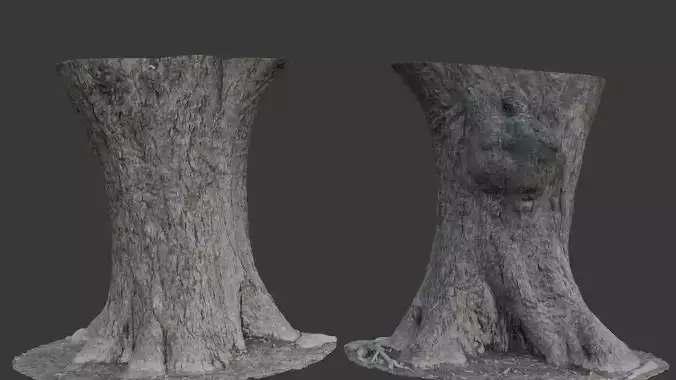Realistic 3D Scanned Wide Tree Trunk 