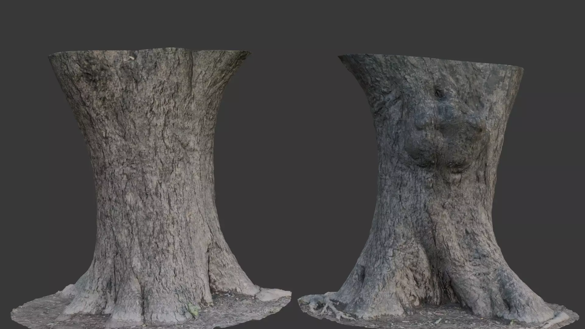 Realistic 3D Scanned Wide Tree Trunk Low-poly 3D model_0
