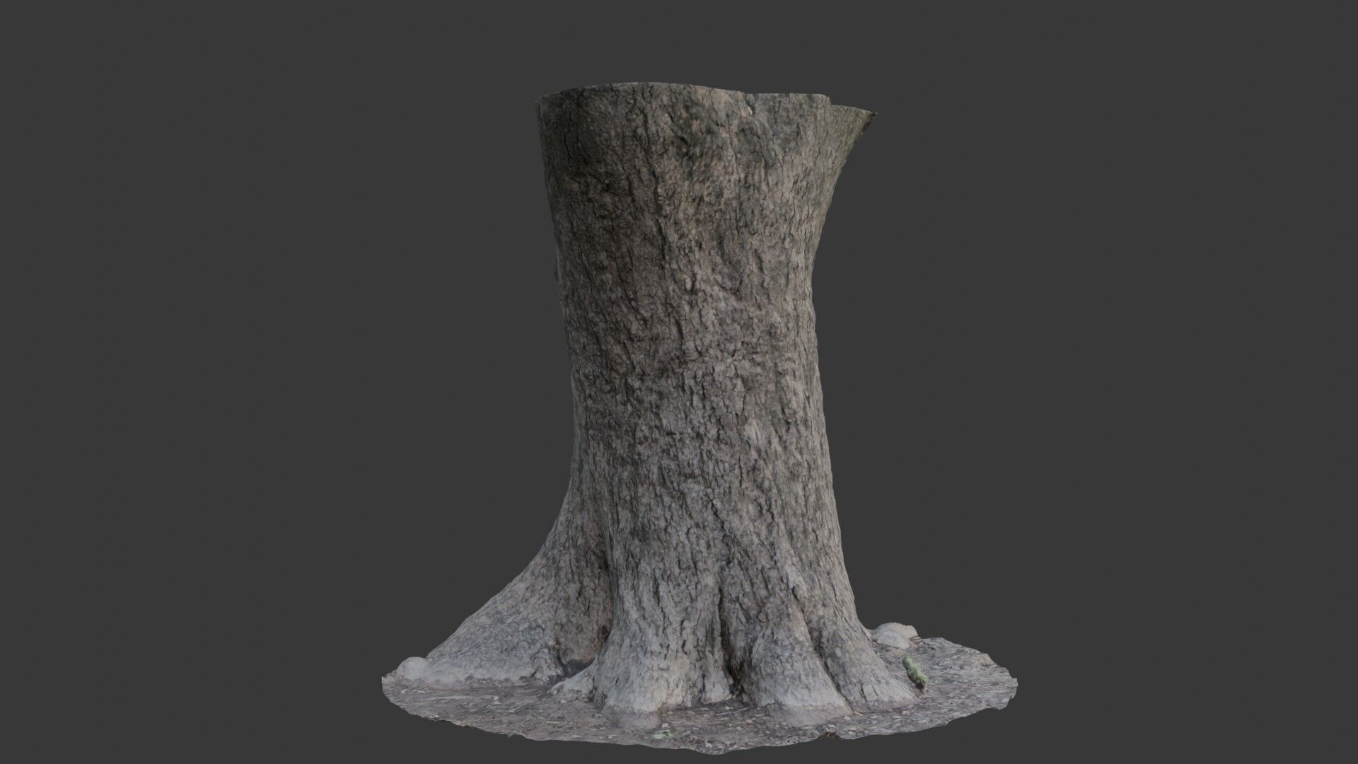 Realistic 3D Scanned Wide Tree Trunk Low-poly 3D model_4