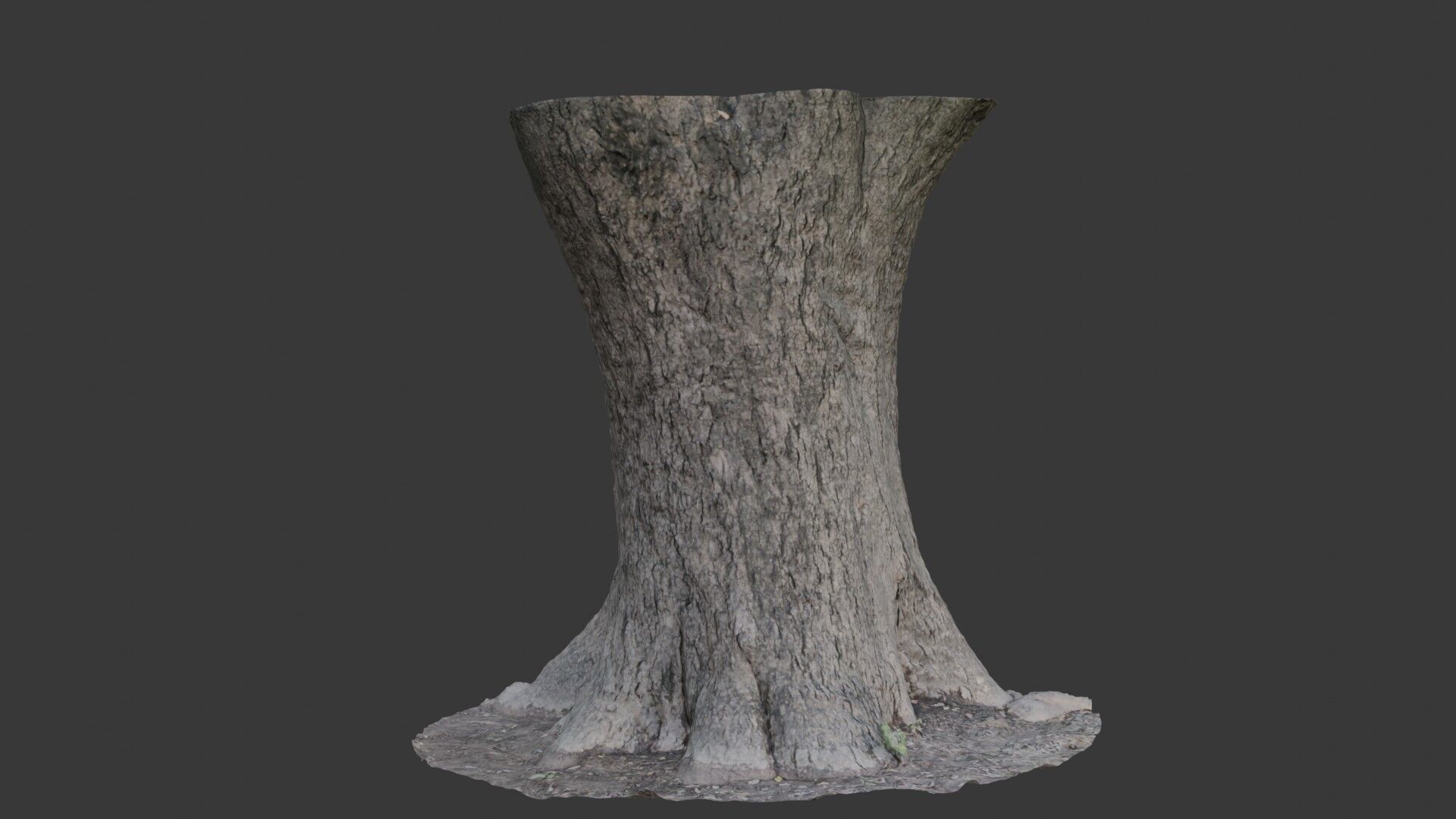 Realistic 3D Scanned Wide Tree Trunk Low-poly 3D model_1