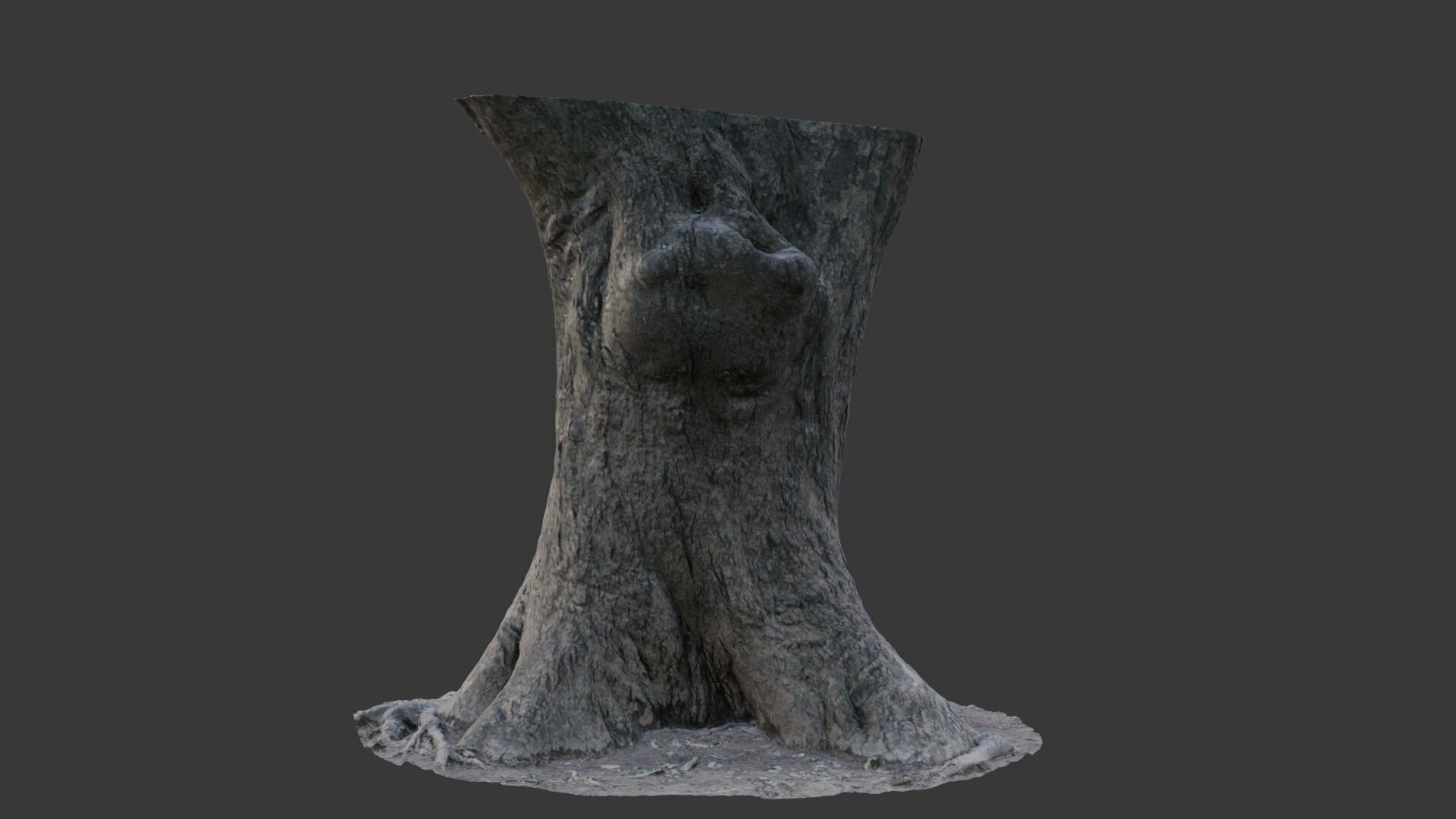 Realistic 3D Scanned Wide Tree Trunk Low-poly 3D model_6