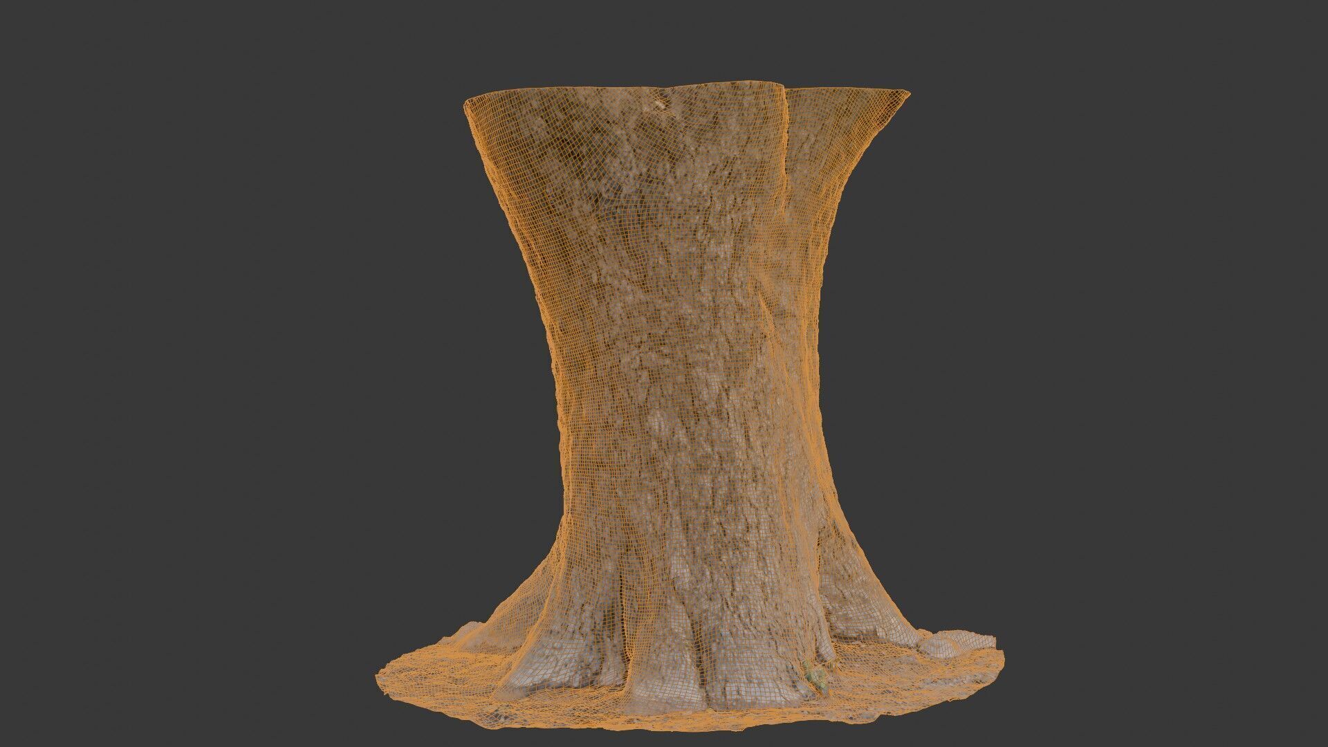 Realistic 3D Scanned Wide Tree Trunk Low-poly 3D model_2