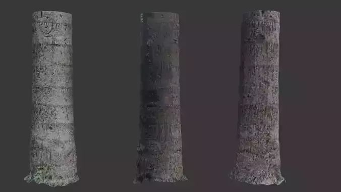 Realistic 3D Scanned Palm Tree Trunks