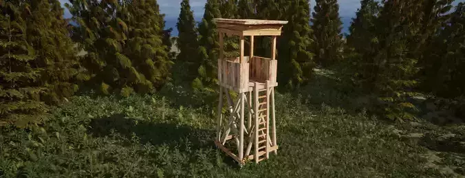 Forest building assets