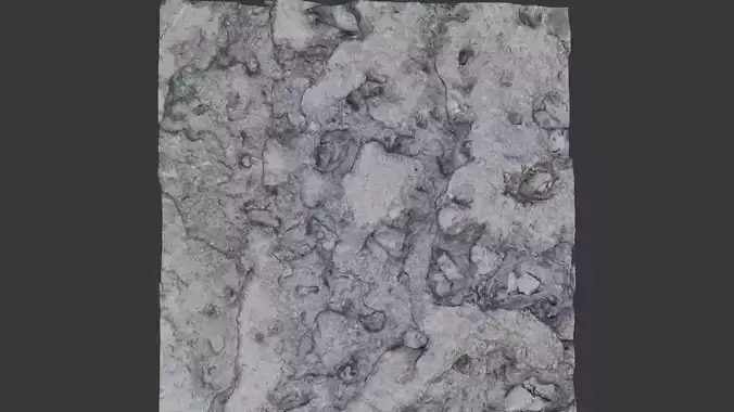 High-Resolution 3D Scanned