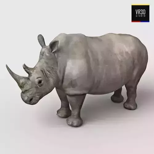 Realistic Rhinoceros rhino