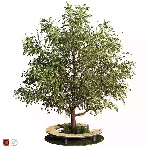 tree with wooden round seat