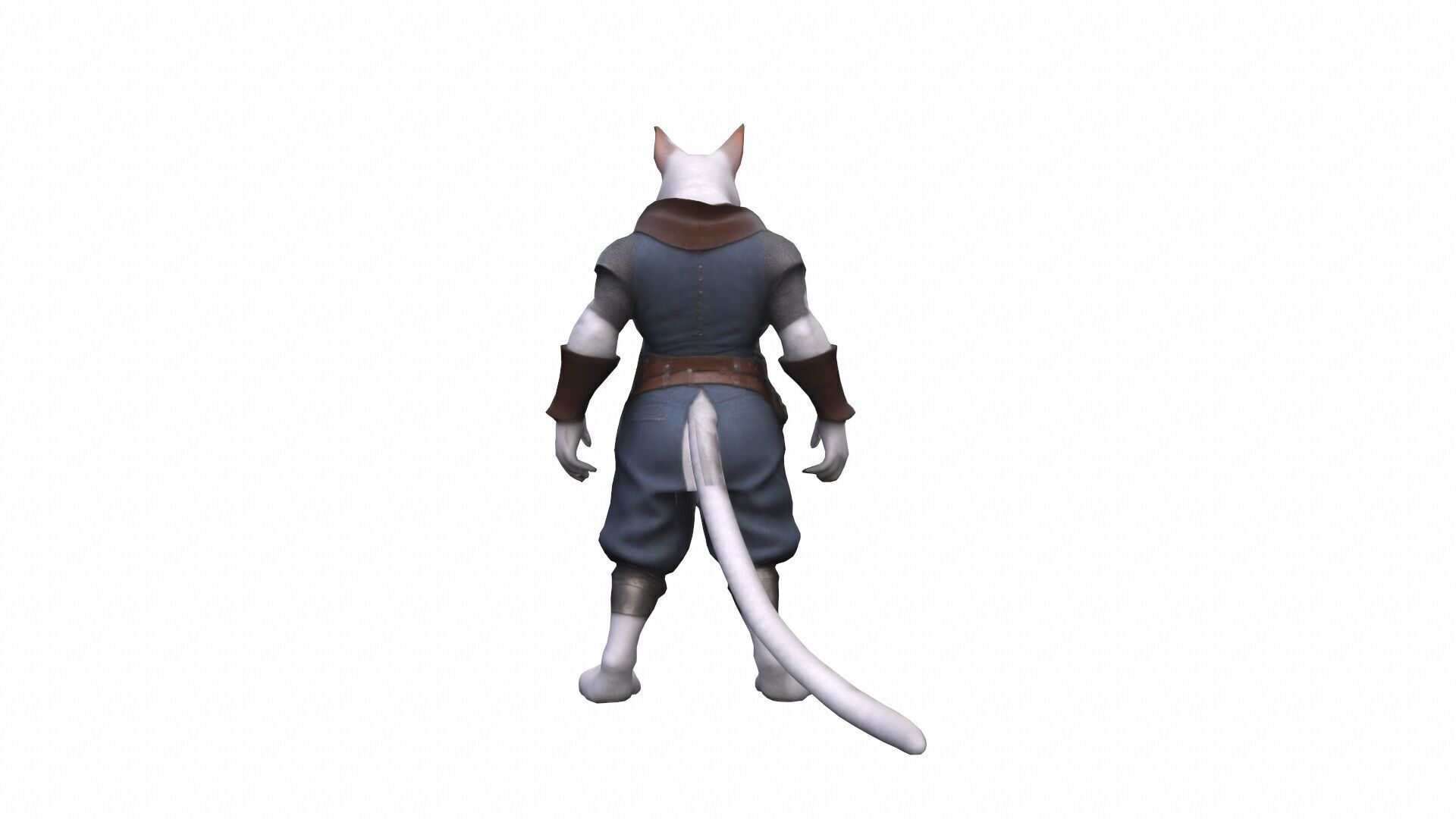 3d Model Humanoid Cat Character Collection 3D model_5