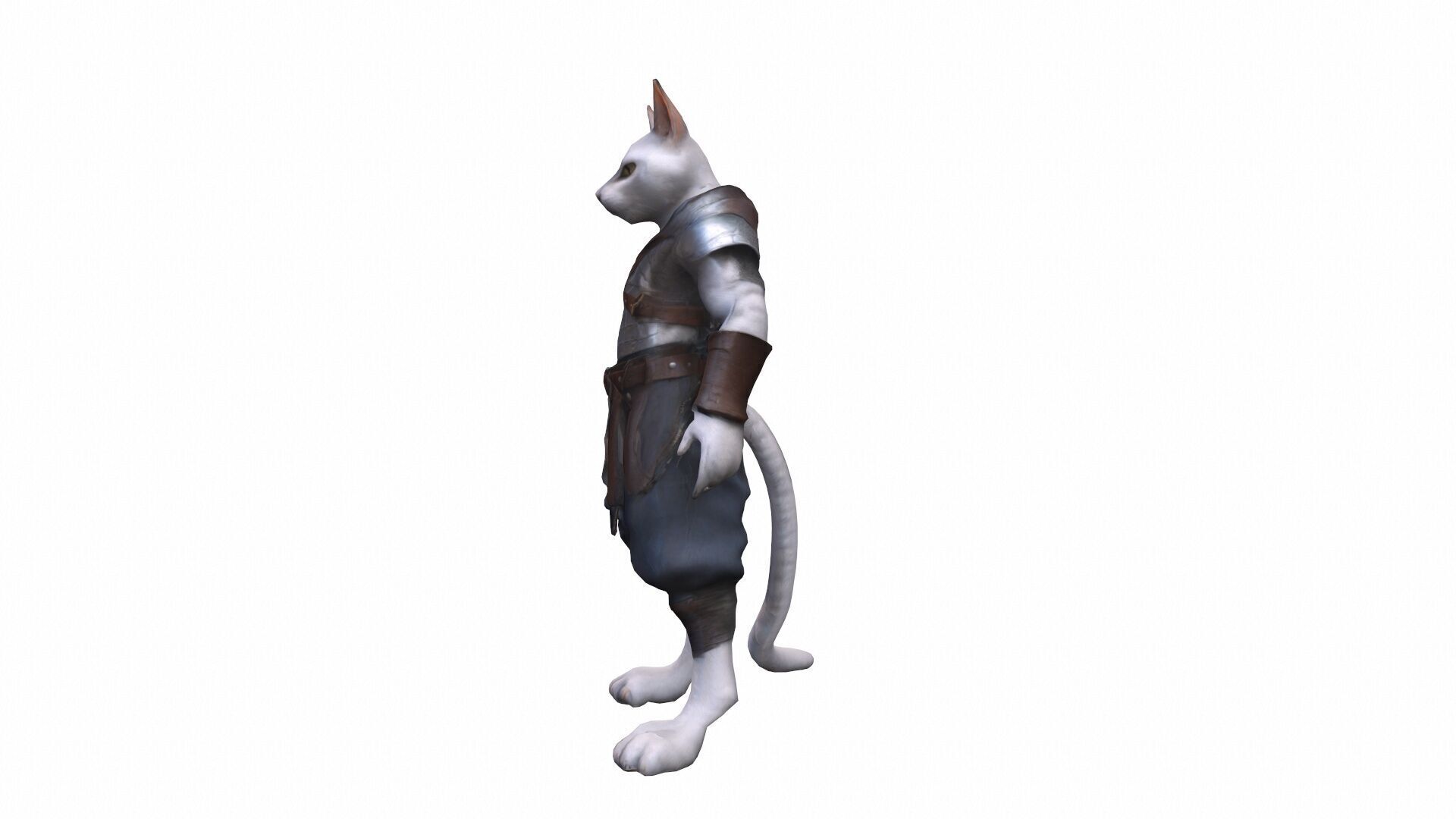 3d Model Humanoid Cat Character Collection 3D model_3